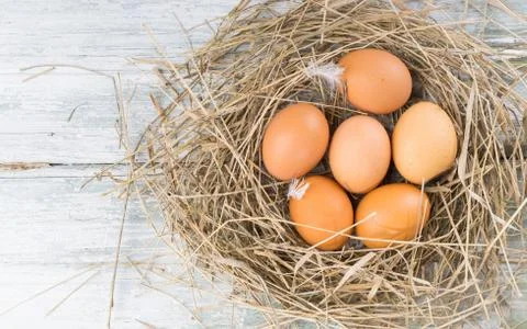 Brown eggs in hay Stock Photos
