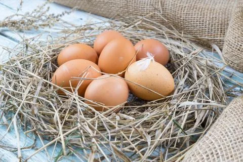 Brown eggs in hay Stock Photos