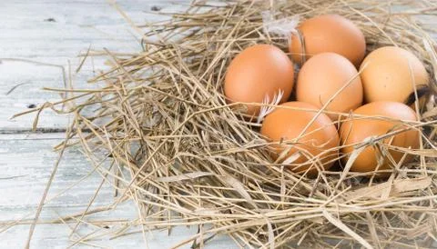 Brown eggs in hay Stock Photos