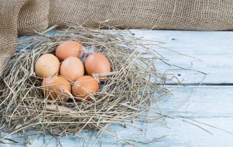 Brown eggs in hay Stock Photos