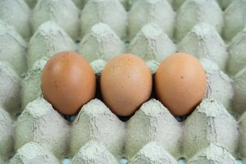 Brown Eggs Isolated on White Background Stock Photos