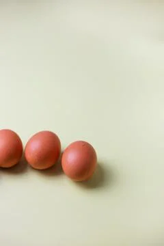 Brown eggs on a light isolated background for copyspace, text Stock Photos
