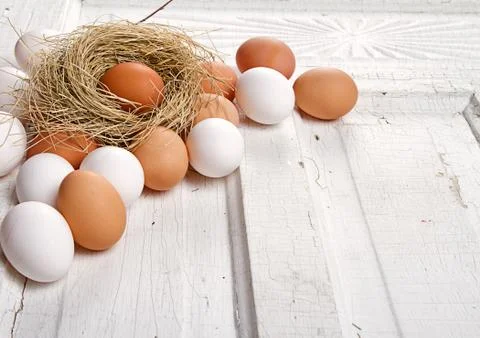 Brown eggs in a nest Stock Photos
