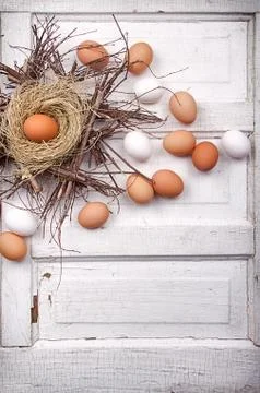 Brown eggs in a nest Stock Photos