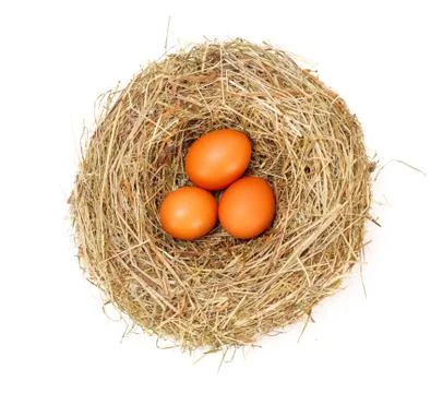 Brown  eggs in nest Foto stock