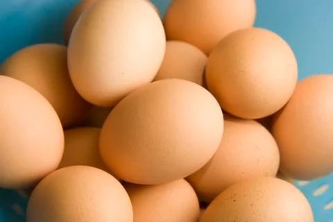 Brown eggs Stock Photos