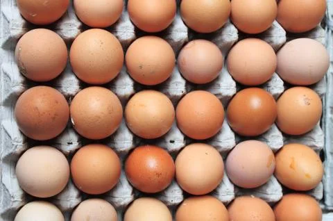 Brown eggs Stock Photos