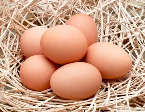 Brown eggs Stock Photos