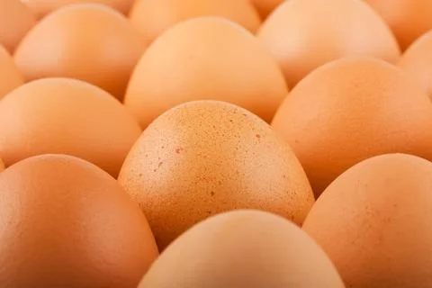 Brown eggs Stock Photos