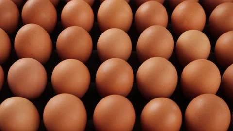 Brown eggs on platform in egg production facility Video stock 200877773
