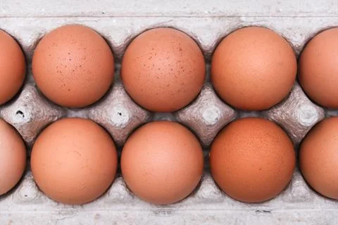 Brown eggs in recycled carton pressed box container close up Stock Photos
