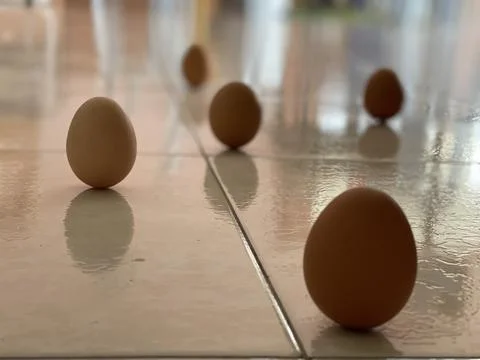 Brown Eggs Standing Upright on Tiled Floor for Lichun Tradition Stock-Fotos