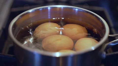 Brown eggs starting to boil in pot Vidéo 229912596