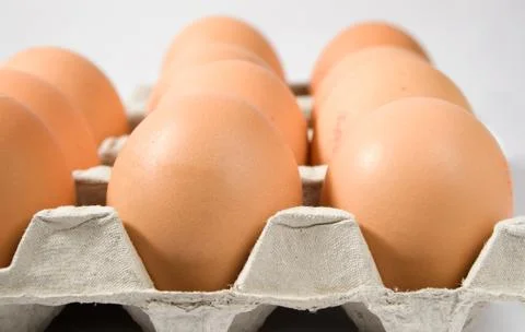 Brown eggs in tray Stock Photos