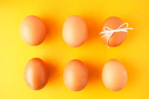 Brown eggs in two rows on yellow background Stock Photos