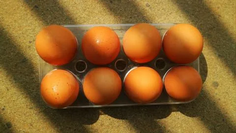 Brown Eggs Under Striped Shadows With Aesthetic Natural Sunlight Stock Photos