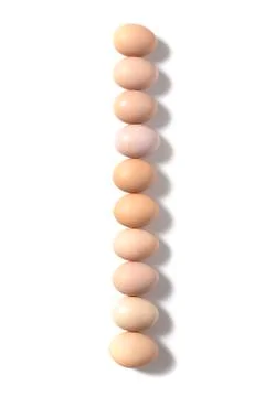 Brown eggs on a white background lined in row Stock Photos