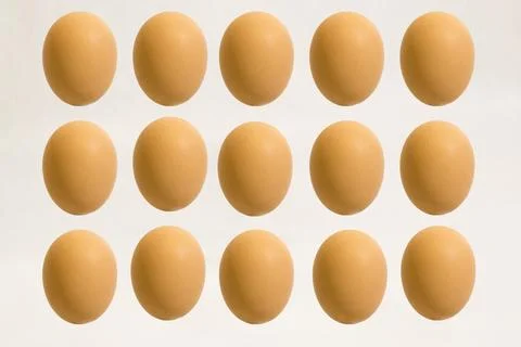 Brown eggs on a white background without shadows Stock Photos