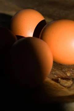 Brown Eggs on Wooden Surface in Dramatic Low-Key Lighting Stock Photos