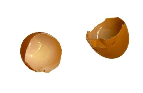Brown eggshell broken, isolated on white background Stock Photos