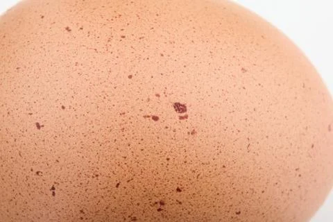 Brown Eggshell Texture Close Up Isolated Background Stock Photos