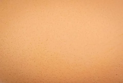 Brown eggshell with visible details. background or textura Stock Photos