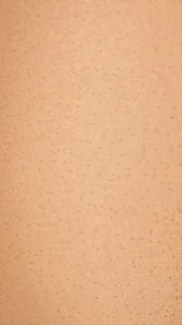Brown eggshell with visible details. background or textura Stock Photos