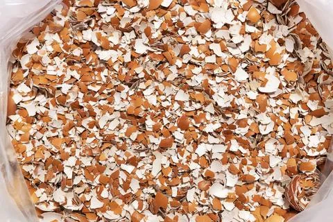 Brown eggshells in a clear bag. Stock Photos