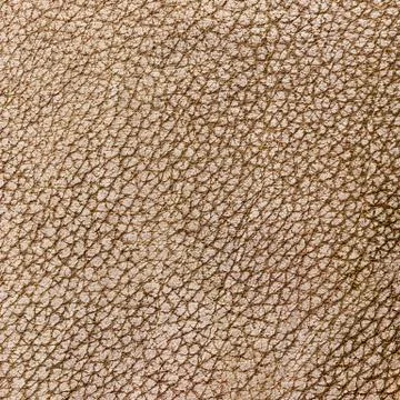 Brown elephant leather Foto stock
