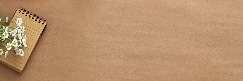 Brown empty background. View from above. Copy space with space for text. Stock Photos
