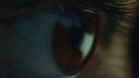 Brown Eye 4K Video stock 114903874