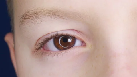 Brown Eye of Child Looking at Camera Close Up. Macro Shot Opening and Closing Stock Footage 146612042