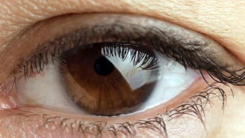 Brown eye of female looking at camera 스톡 동영상 147449804