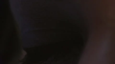 Brown Eye Video stock 12490247