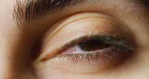 Brown eye Stock Footage 99745313