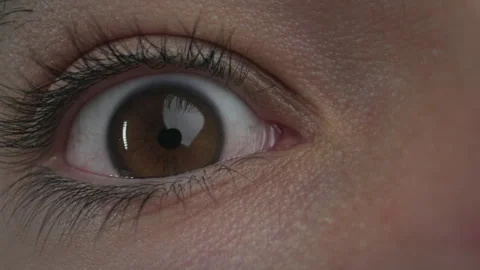Brown eye frantically looking around, close-up Stock Footage 307711767