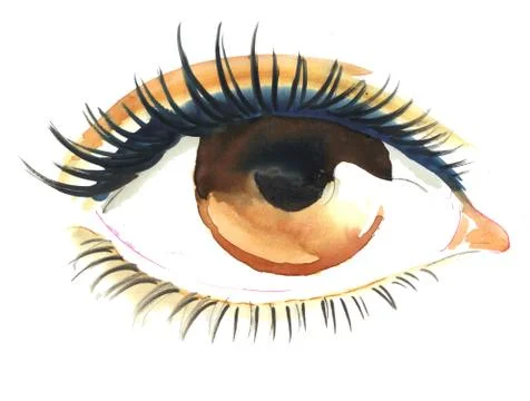 Brown eye Illustrazione stock