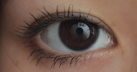 Brown eye. The iris of the human eye is narrowed.  Video stock 201538565