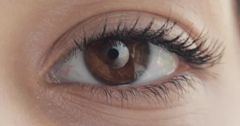 Brown eye. The iris of the human eye is narrowed.  Stock-Footage 201538592