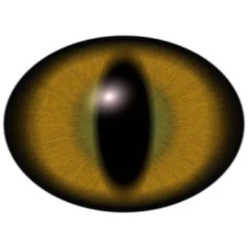 Brown eye isolated on white. Deep colors Stock Illustration