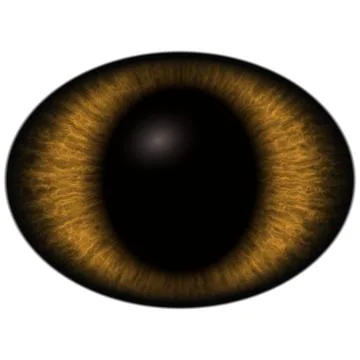 Brown eye isolated on white. Deep colors Stock Illustration