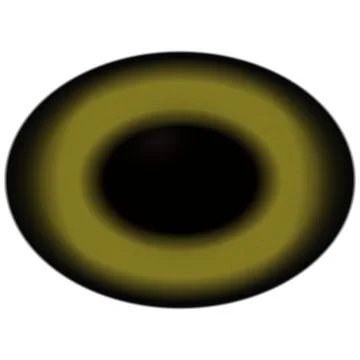Brown eye isolated on white. Deep colors Stock Illustration