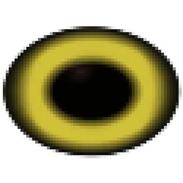 Brown eye isolated on white. Deep colors Stock Illustration