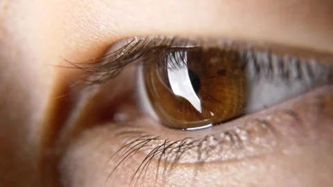 Brown eye looking on bright softbox macro. Reading moves Vídeos de archivo 122456028