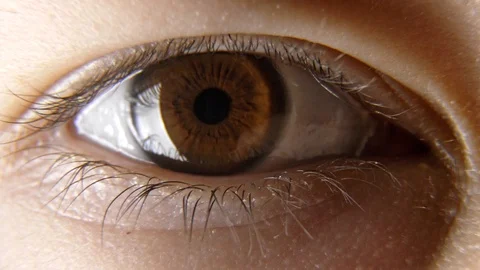 Brown eye looking straight into camera lens macro Stock Footage 122456011