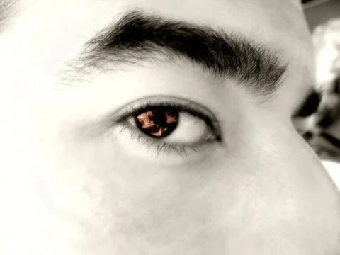 Brown eye macro Stock Photos