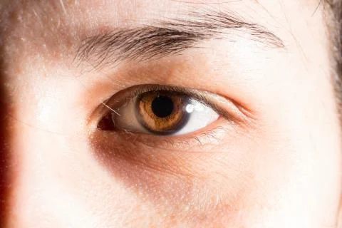 Brown eye macro shot Photos