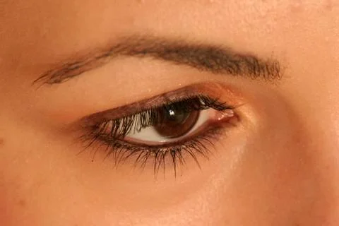 Brown eye Stock-Fotos