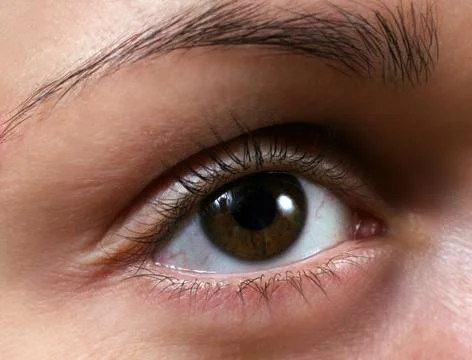 Brown eye Stock Photos