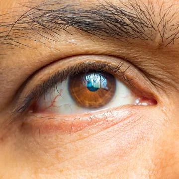 Brown eye Stock Photos